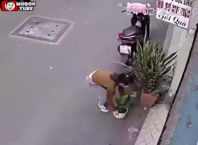 Video :Karma punishes a scooter rider who attempts to steal a flower pot